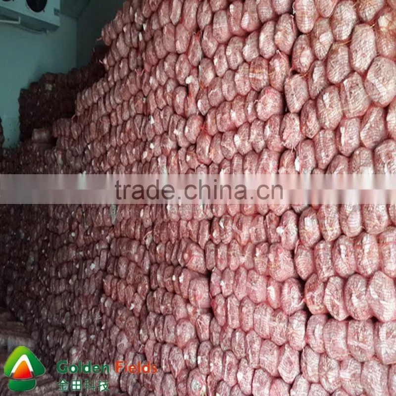 Wholesale Dried factory supplier shiitake nutritious mushroom