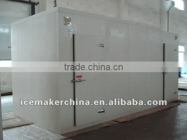 commercial cold room price for storing