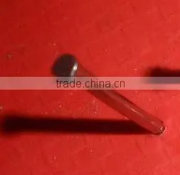 bright polished best quanlity common nails