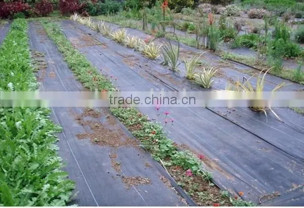 Weed mat 100 gsm heavy duty 1.83m*50m