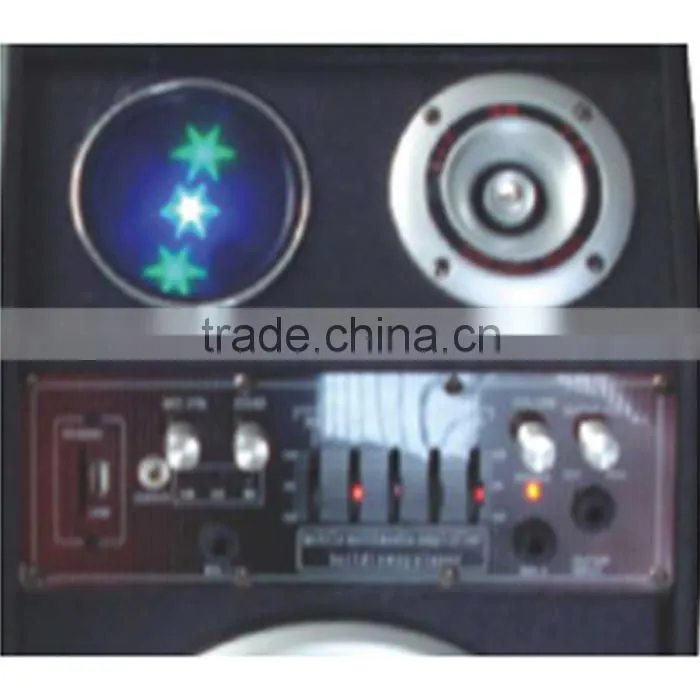 10 inch outdoor stage professional speaker With FM radio