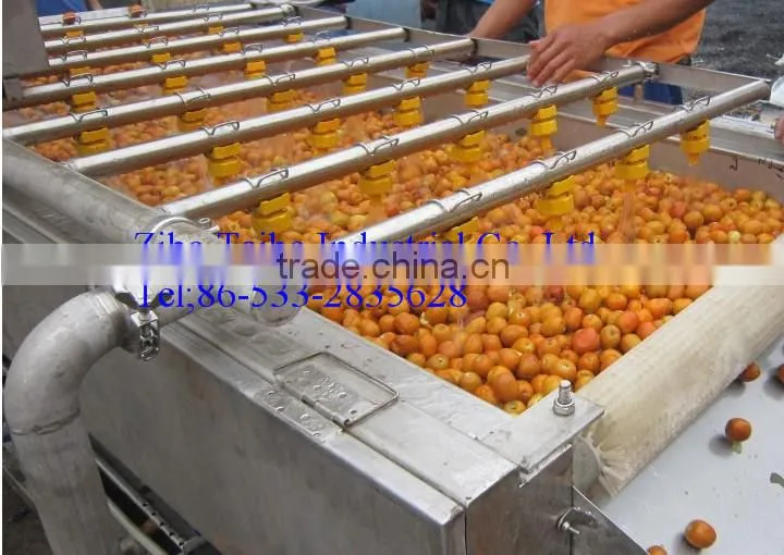 Stainless Steel Automatic Mango Washing Machine
