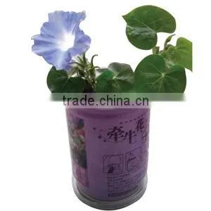 Semi-automatic Tin Can Seamer Machine Of Seed Can Gift Can Line