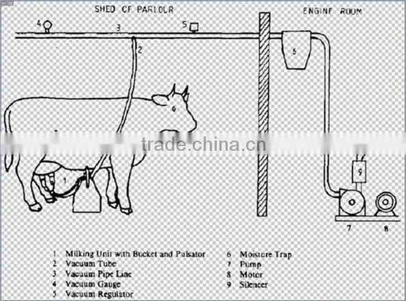 fixed pipeline milking machine group for two cows