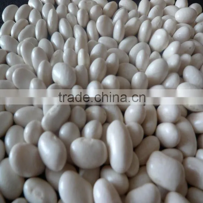 CHINA white kidney bean (bashaki ) 2010