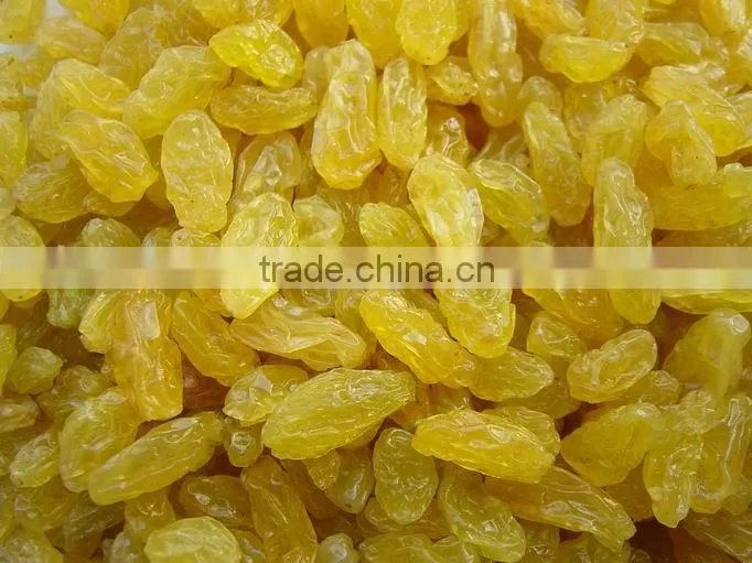 Red brown raisins New crop 2012