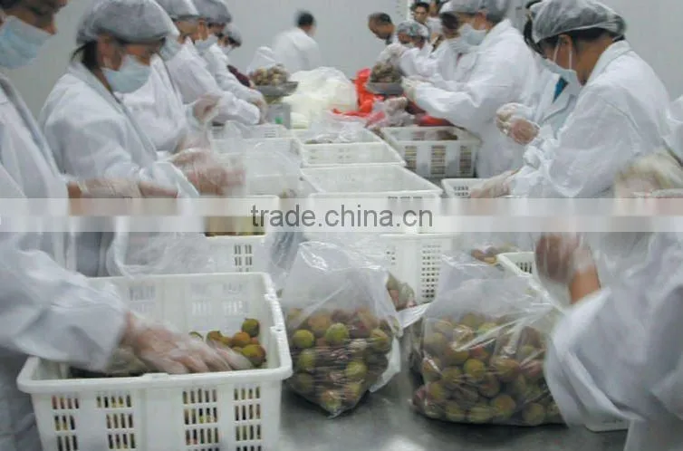 2016 Fresh Fruit Lichee from China