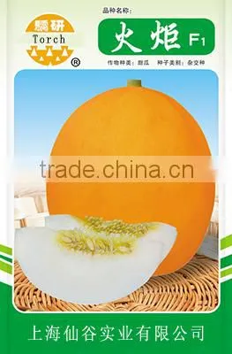 Hybrid F1 Yellow Melon Seed Cantaloupe Seeds For Sale-Torch F1