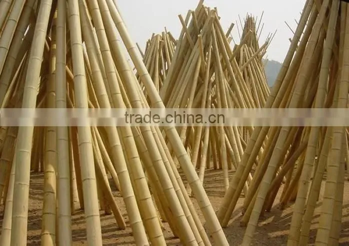 construction building material bamboo