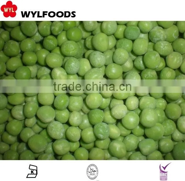 most popular frozen pleurotus eryngii 2015
