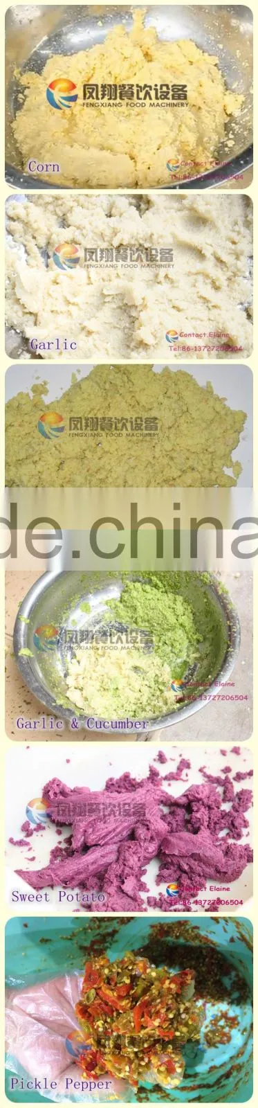 Indrustrial Garlic Grinder, Shallot Crusher Machine, Ginger Presses Machine
