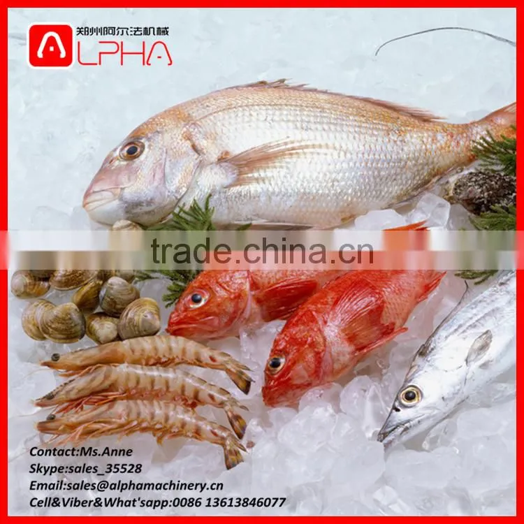 300-500KG/H Sea Food Fruit Use Commercial Ice Crusher Machine