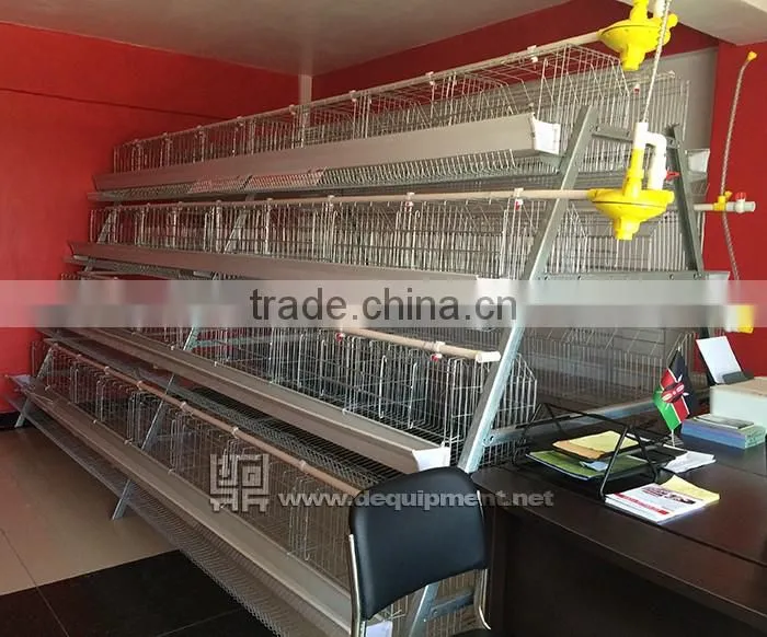 TA NO.1 factory kenya poultry farm