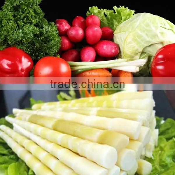 steam blanching machine/asparagus blanching machine/vegetable precooking machine