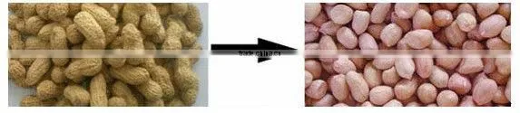 energy saving groundnut/earthnut/earthpea/peanut decorticator