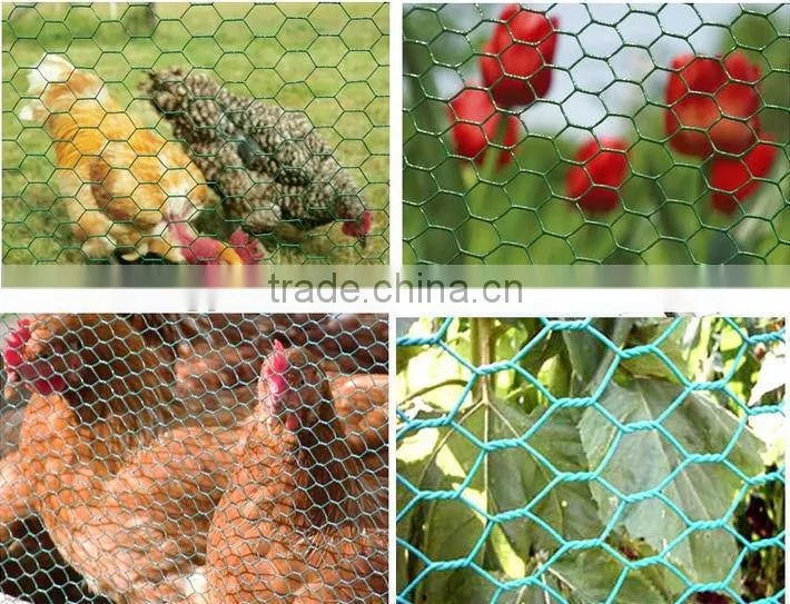 High Quality PVC/ Galvanized Hexagonal Wire Mesh For Chicken/Animal/Safety Fence