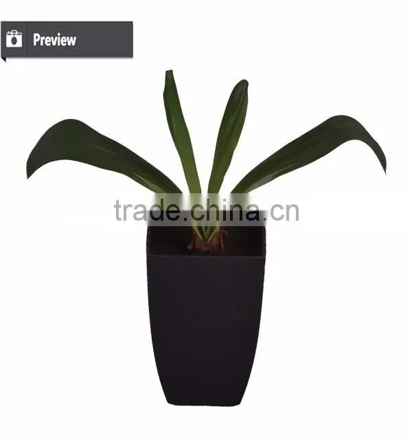 Factory direct sell artificial decorative indoor and outdoor plant tree with pot for decoration use