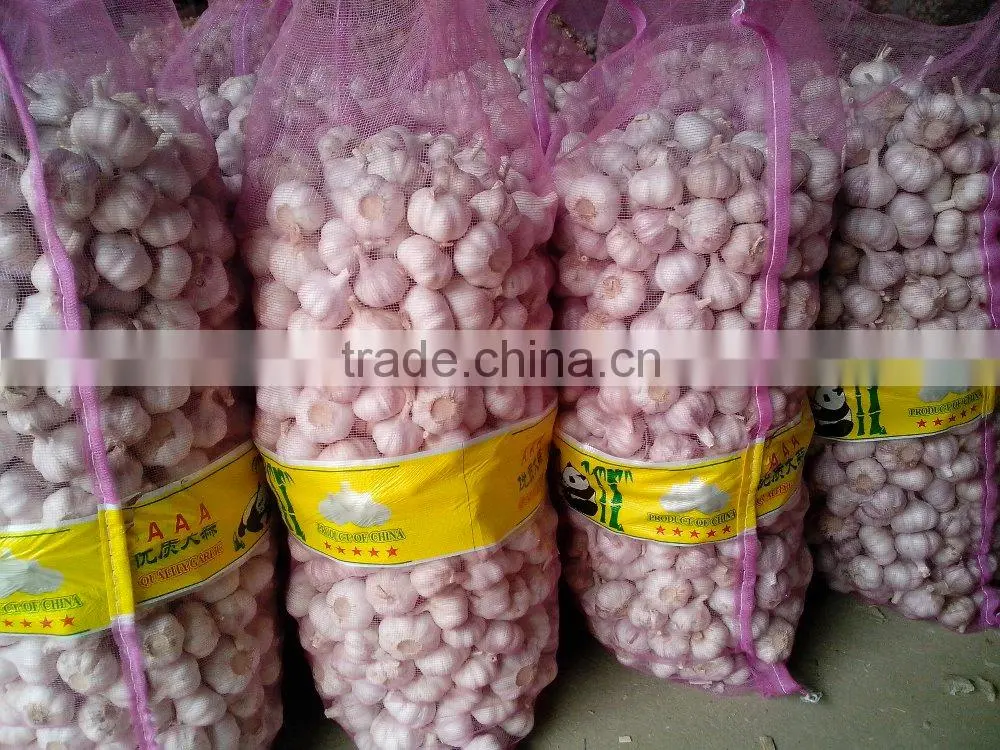 Wholesale China Garlic Natural Fresh Garlic