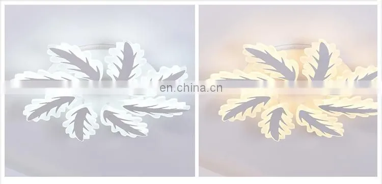 Hot sale surface mounted round house lighting led ceiling lighting 2 years warranty 36w led ceiling light