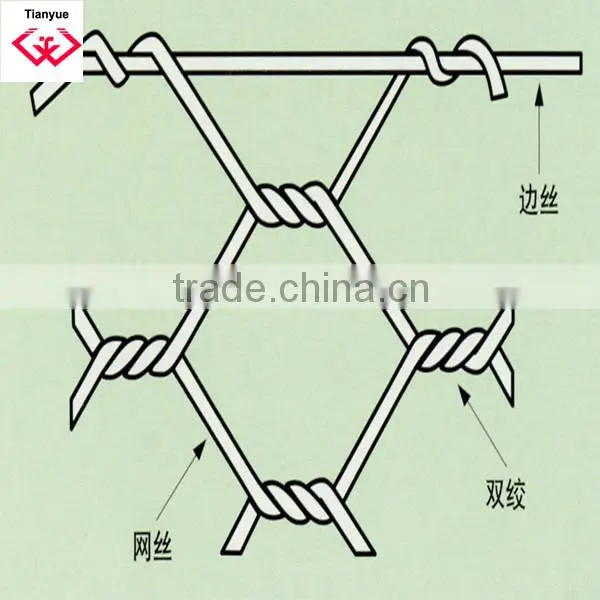 Chicken Mesh(direct factory)