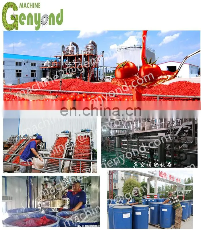 Turnkey 28%-30% concentrated tomato paste machine