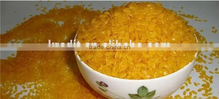 Golden Rice Processing Line/Artificial Rice Extruder/Automatic Fortified Rice Extruder