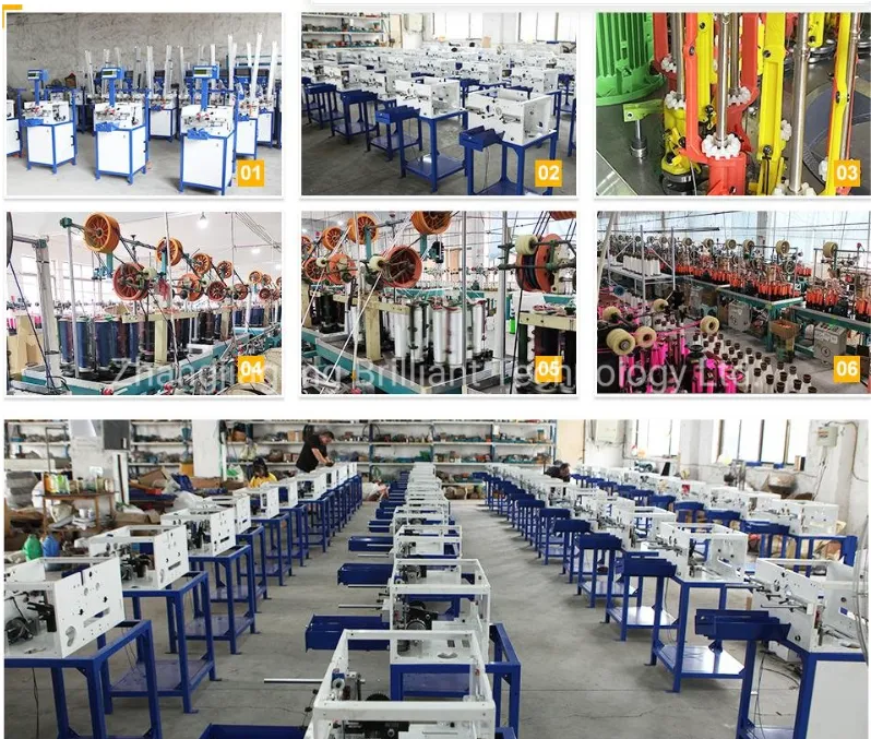 Zhangjiagang Brilliant Technology CO.,LTD company overview - view 1