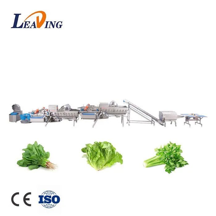 2026 Guide: How Modern Fruit & Vegetable Processing Equipment Boosts Your Profit & Quality