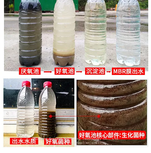微信图片_20260518091924_70_7