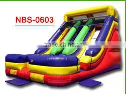 New Point Cheap inflatable double water slides, water slide for inflatable pool