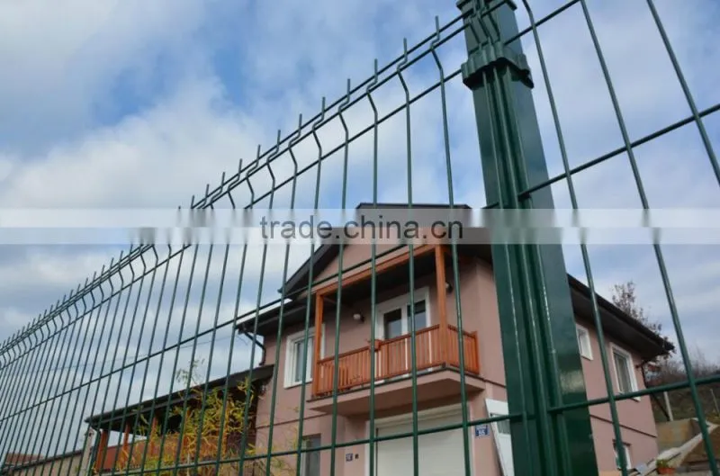 Euro Welded Wire Mesh Roll Garden Fence