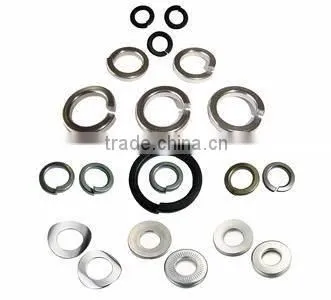 flat and spring washers