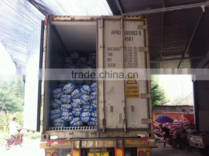 China Red Garlic Price Store Garlic
