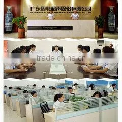 Guangdong GT Ultrasonic Co., Ltd. company overview - view 1