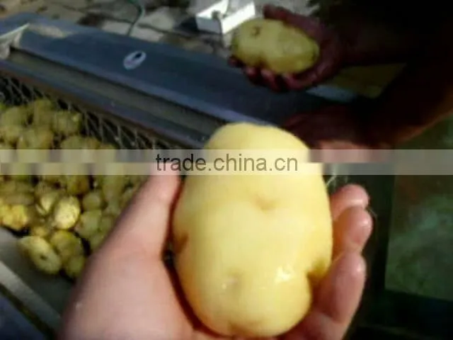 potato washing and peeling machine manufacturer