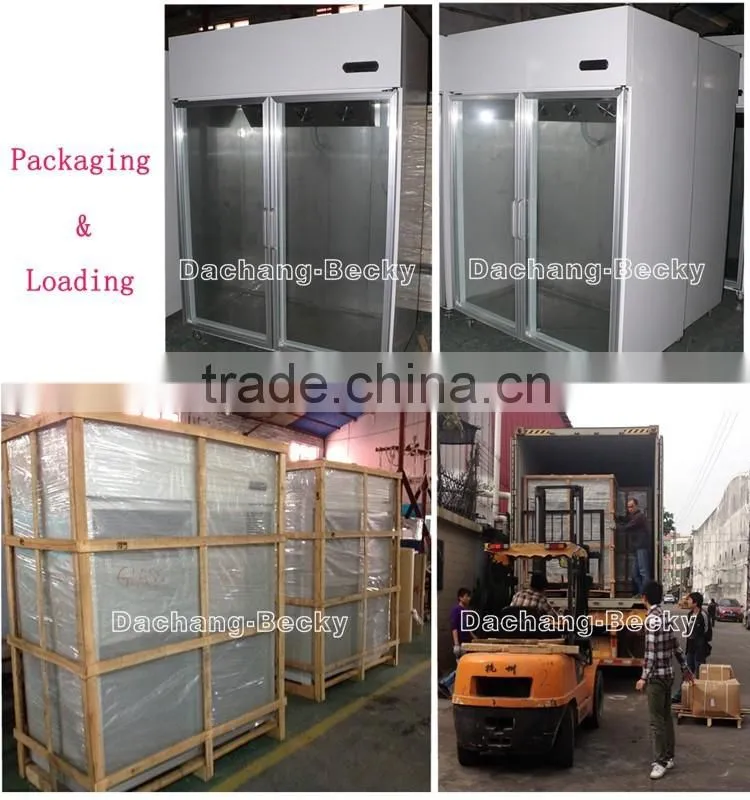 Upright ice merchandiser with 2-glass door bagged ice storage bin temp -12degree C