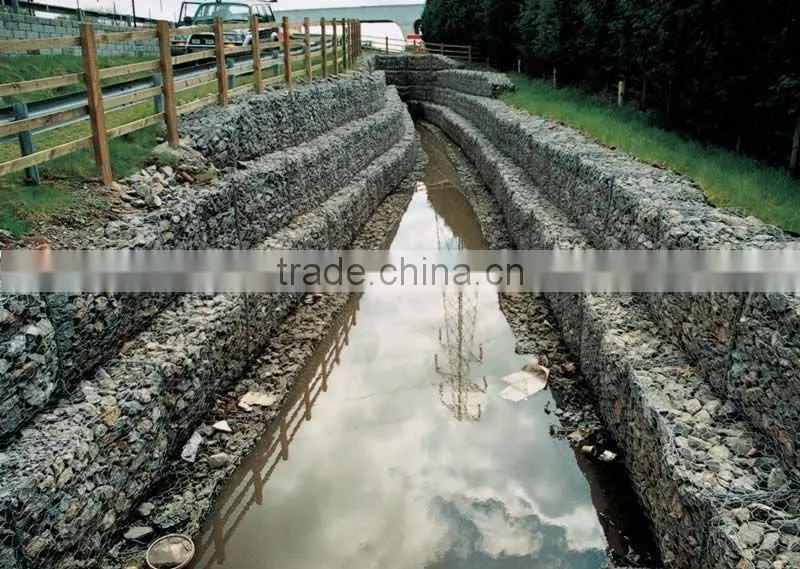 PVC Coated Hexagonal Wire Mesh(Competitive Price)