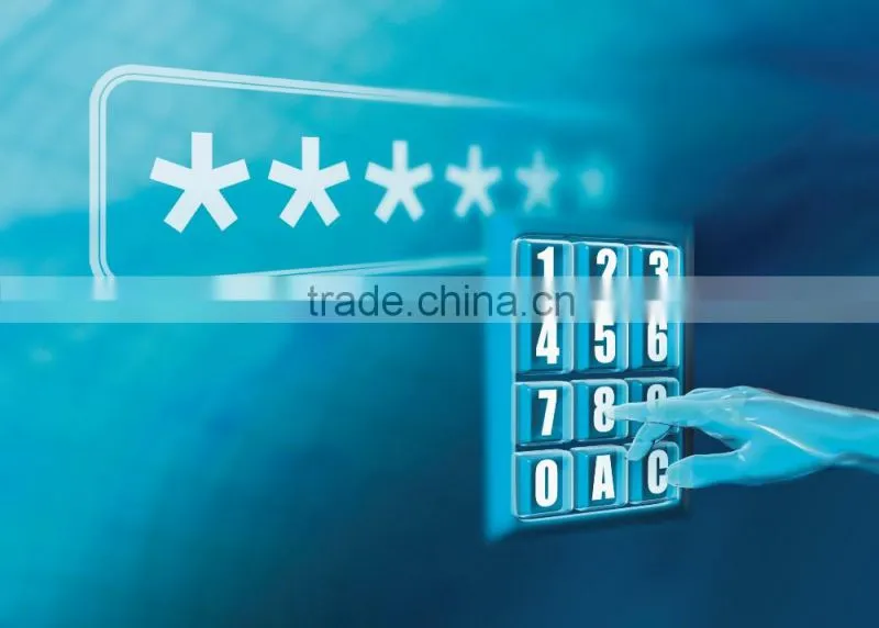 Security shenzhen chip one time password smart card with display