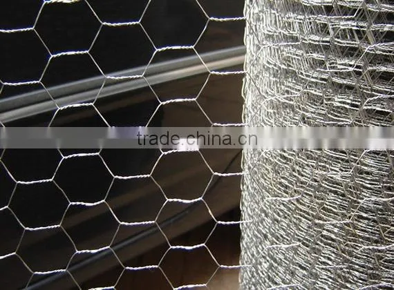 galvanized hexagonal wire mesh(factory)