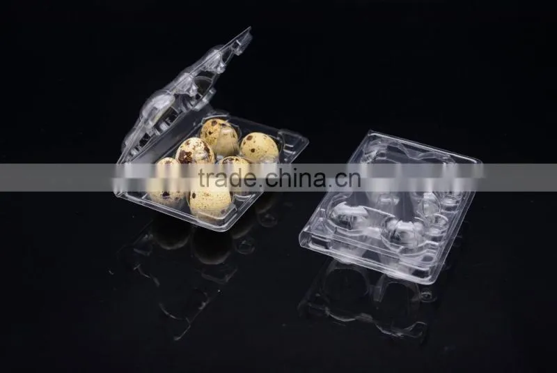 6 hole cheap transparent plastic quail egg tray