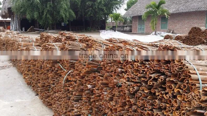 VIETNAM CASSIA / CINNAMON