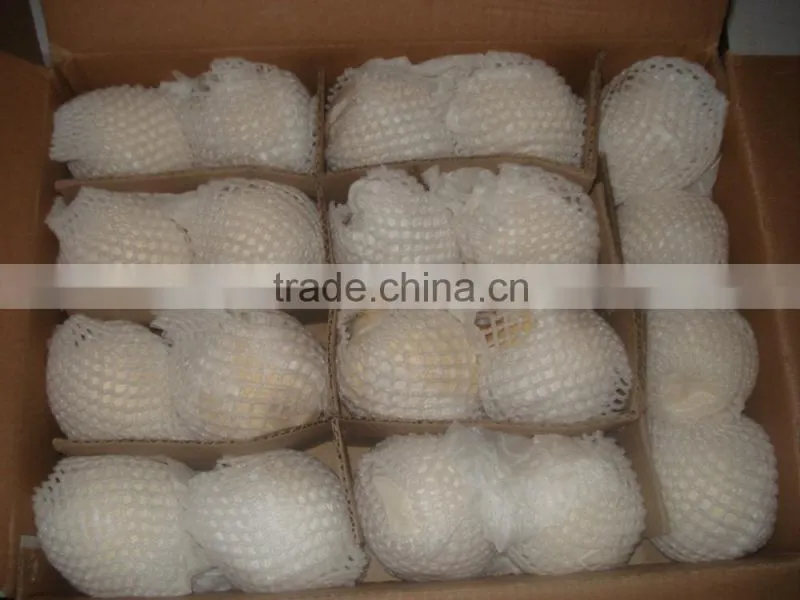 New crop ya pear of China fruit with best quality
