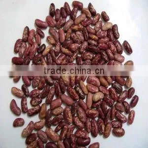 dry chinese purple speckled kidney bean