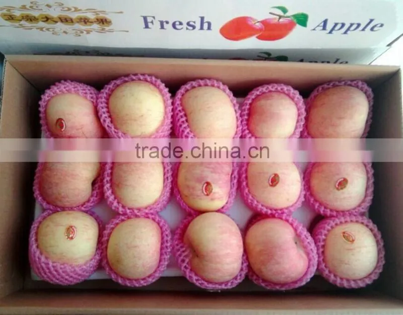 High Quality Fresh Apple