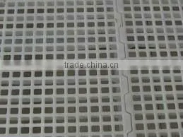BC Series Best Plastic slat for poultry farm