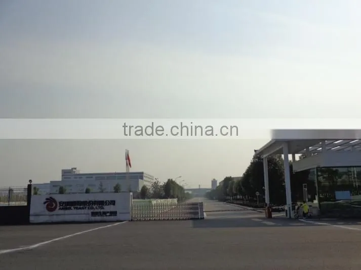 Angel Yeast Co., Ltd. company overview - view 2