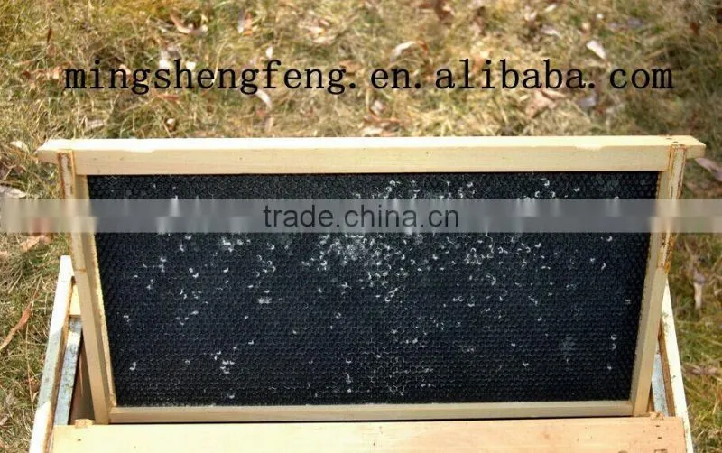 Beeswax sheet-Honey bee hive foundation sheets price/plastic honey comb for Langstroth bee hive