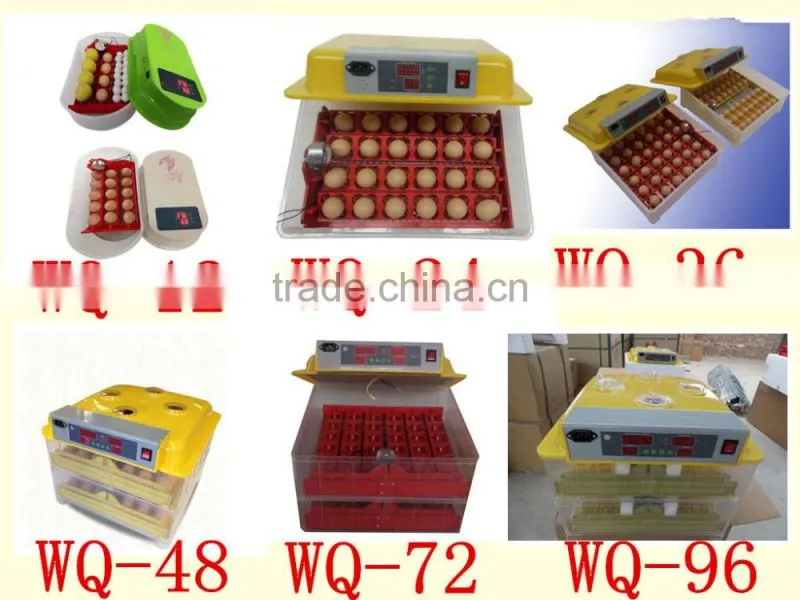 Hot sale 288 quail egg mini incubator price in ChinaWQ-72