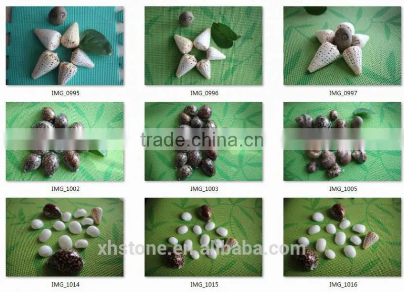 new arrival top sale popular fashion shell in 2015
