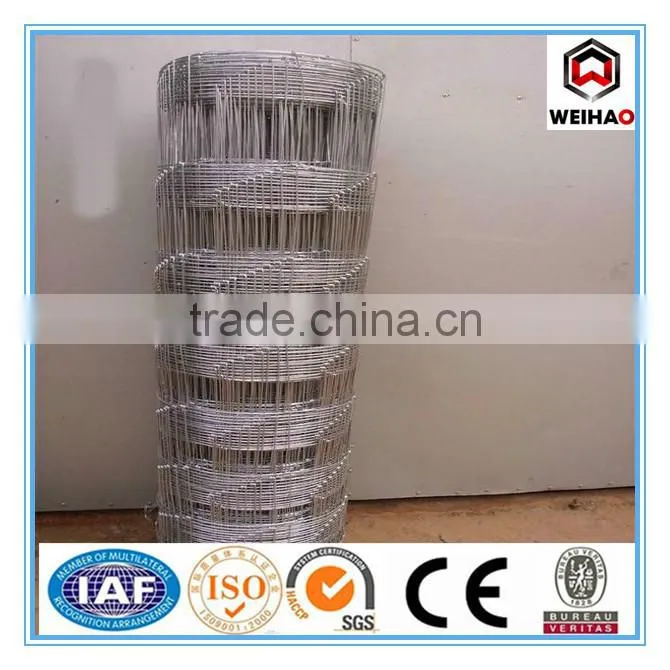 High Quality Galvanized Calf Cattle Fence